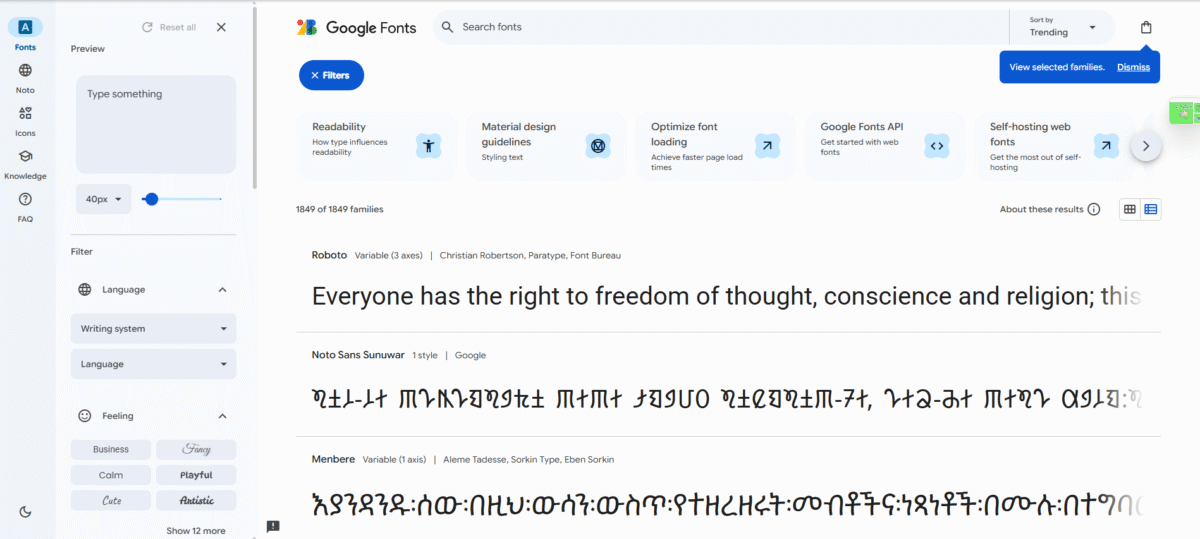 Google Fonts