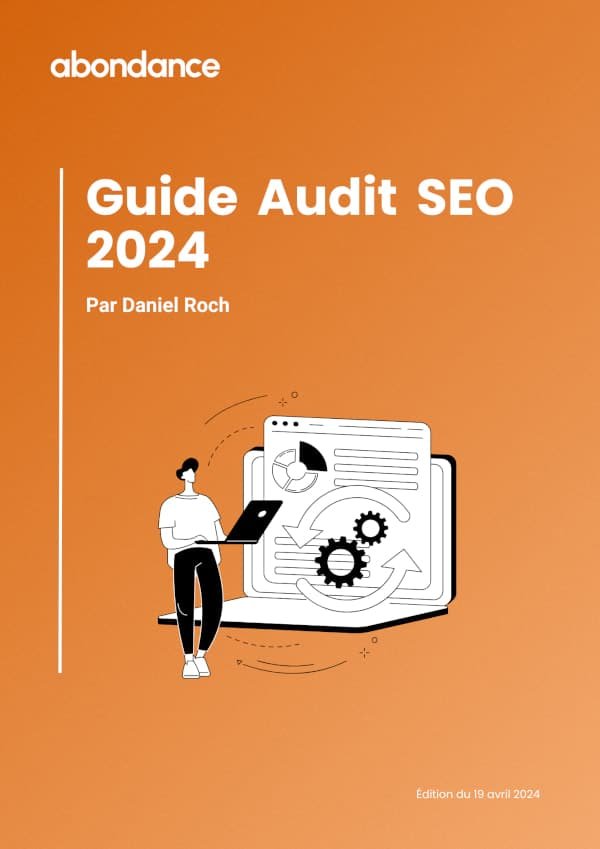 guide audit seo daniel roch couverture